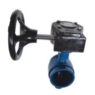 picture will come soon