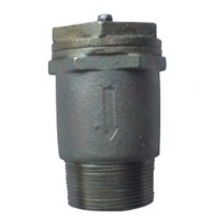 picture will come soon